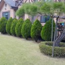 예진농장 이미지