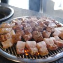 연탄위에돼지