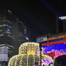 콜렉트 명동 이미지