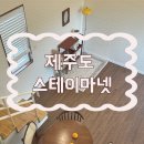 스테이 마넷 | /제주도/애월 숙소 제주도 숙소 추천 스테이마넷 B동 숙박후기