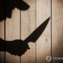 머리가하는이야기 이미지
