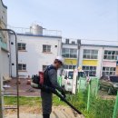 별량초등학교 병설유치원 | 순천 별량초등학교 병설유치원 모래소독