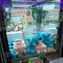 탐이나인형방 이미지