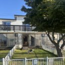 여수 댕댕이 애견 가족펜션 골드 이미지