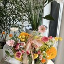 월영동196 이미지