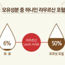 유력오일