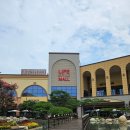 모던하우스 | 파주 프리미엄아울렛 볼거리 모던하우스 후기