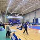 태성태권도체육관 이미지