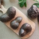 (주)영동스크랩 | 놀리지말아유 영양꽉꽉 2023년 열매마 우주마 충북영동 알짜배기 하늘마 올해도 실하게 인사드려유...