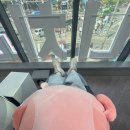 화목약국 | 전문치과 ‘세상모든사랑니’ 사랑니 발치 내돈내산 후기 | 신경 가까운 사랑니 뽑은 통증·붓기·비용