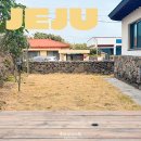 제주도집민박 | 구좌독채민박 제주도집 민박 주하네 별채 제주 동쪽 숙박 후기