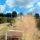 하례광장로 이미지