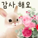 황금알당구클럽 이미지