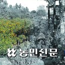 권병주농장 네이버블로그