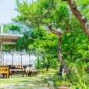 춘천스테이 266 이미지