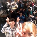 루스터로스터스