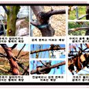 상순농장 | 2026년 농작물 병해충 발생정보(제3호)