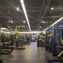 뭉트니스 이미지