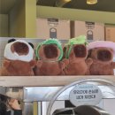 고기하우스 - 포항시 남구 동해면 | [진주 경상대 가좌동 맛집] 분위기 좋은 쌀국수 맛집 '포하우스' 월남쌈 돼지고기덮밥 후기