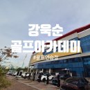 VIP 골프아카데미 | 안산 강욱순 골프아카데미 연습장 방문 후기