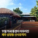 선사유적지 전시관2(전시관외부) | 11월 억새 풍경이 어우러진, 제주 삼양동 선사 유적지