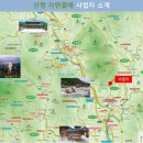 곁애 이미지