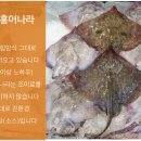 홍어나라 네이버블로그