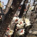 세상의료기 이미지