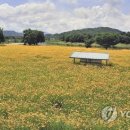 경천 연합뉴스