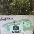 제주커피박물관 바움 | 제주 커피 맛집_커피박물관 "바움"