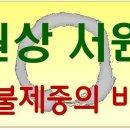 문 성 Daum카페