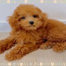 몽글몽글# 이미지