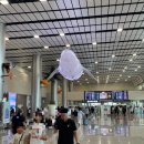 1272 | 제주에서 서울 김포공항 비행기 대한항공(KE1272) 탑승후기