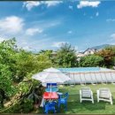 남이섬앤디펜션 이미지