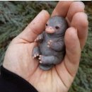 오리너구리