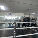 판교더복싱 이미지