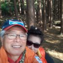 토종흑염소 이미지