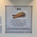 노랑태;담다
