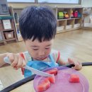 ＜8월 4주＞ 과일화채 만들었어요!🍉& 자동차 타고 달려요🚗 이미지