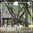 파크골프 | 전남 진도 시원한 가을 산책하기 좋은 캠핑장 옆 운림공원