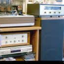 바오밥나무기타 이미지