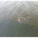 청우세탁 이미지