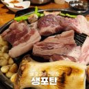 생포탄 | 미금역 돼지고기 맛집 생 포갈비 전문점 생포탄 주차 후기