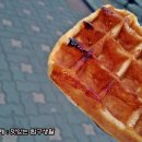 벨기에와플마제스티 이미지