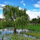 푸른수목원 이미지