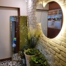 올리브델쿠치나 이미지