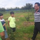 나주북초등학교 이미지