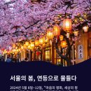 연등축제 서울 사진 스팟