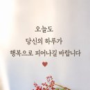 연잎의 지혜 이미지