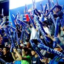 프로보노브릿지 이미지